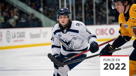 meilleur pointeur lhjmq 2022.